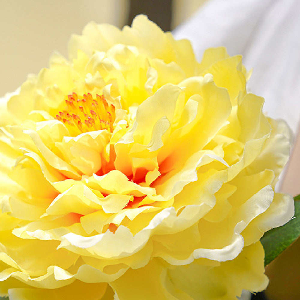 Waterproof Solar Flower Lamp!