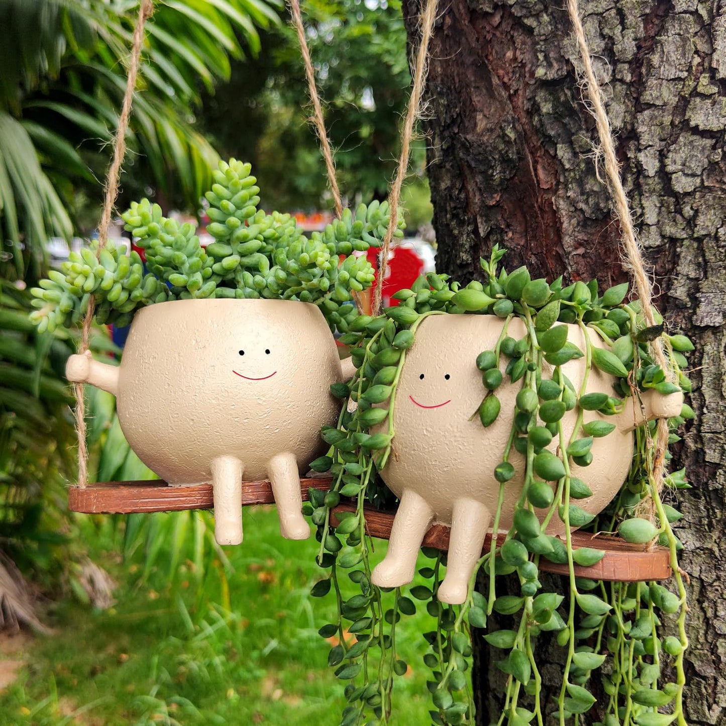 Swing Face Flowerpot!