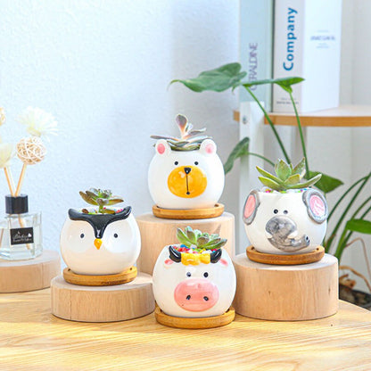 Cartoon animal succulent flowerpot!