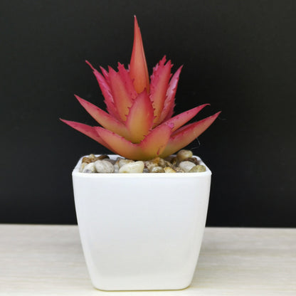 Artificial Mini Succulent Plant!