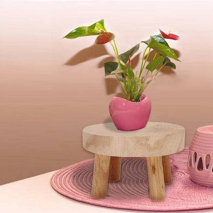 Solid Wood Flowerpot Rack!