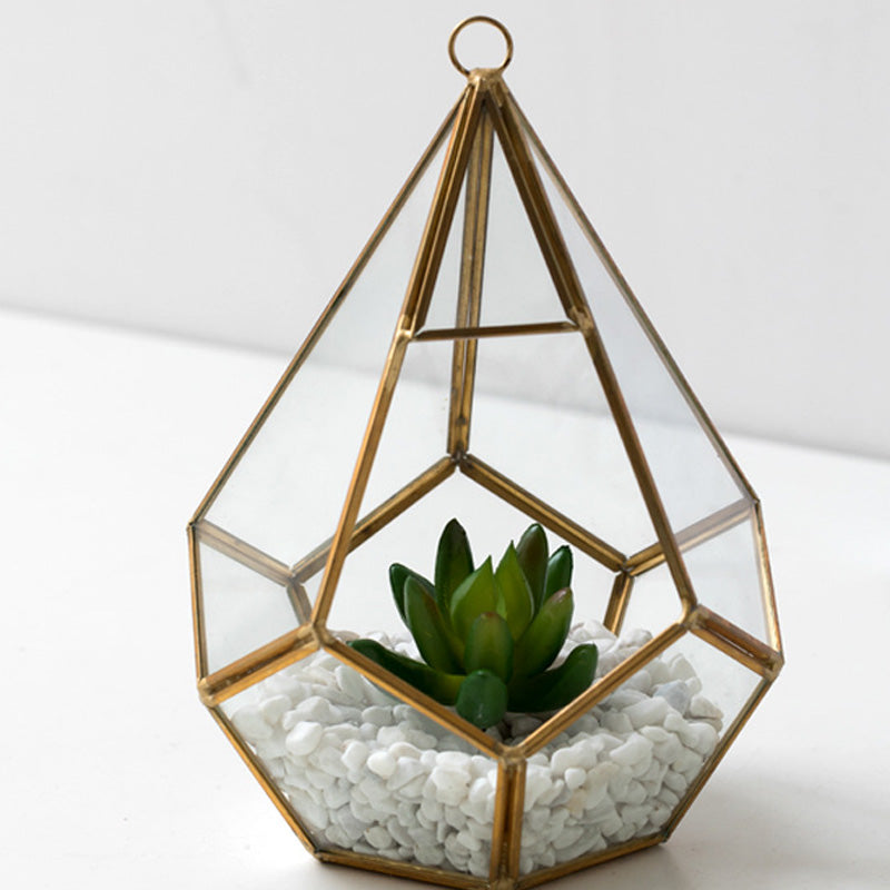 Home Succulent Decoration!