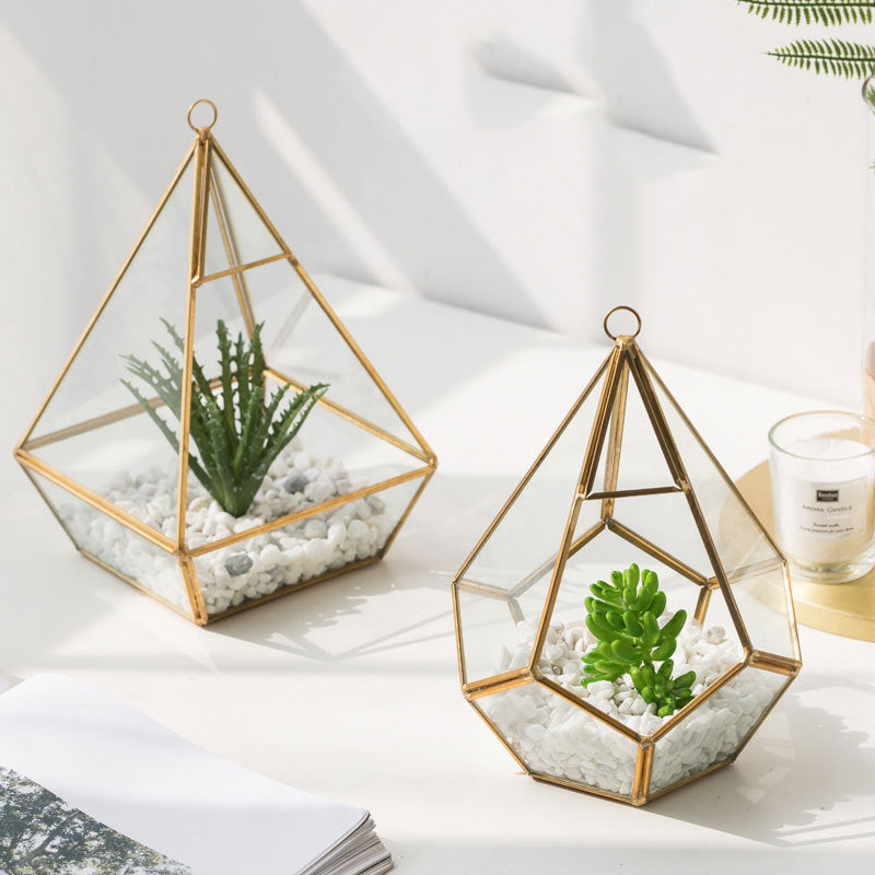 Home Succulent Decoration!