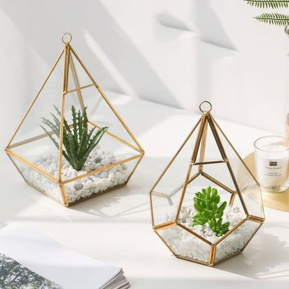 Home Succulent Decoration!
