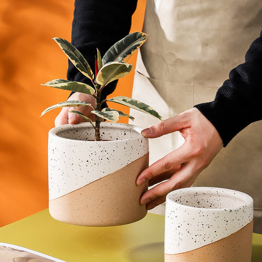 Creative Ceramic Flowerpot Set!