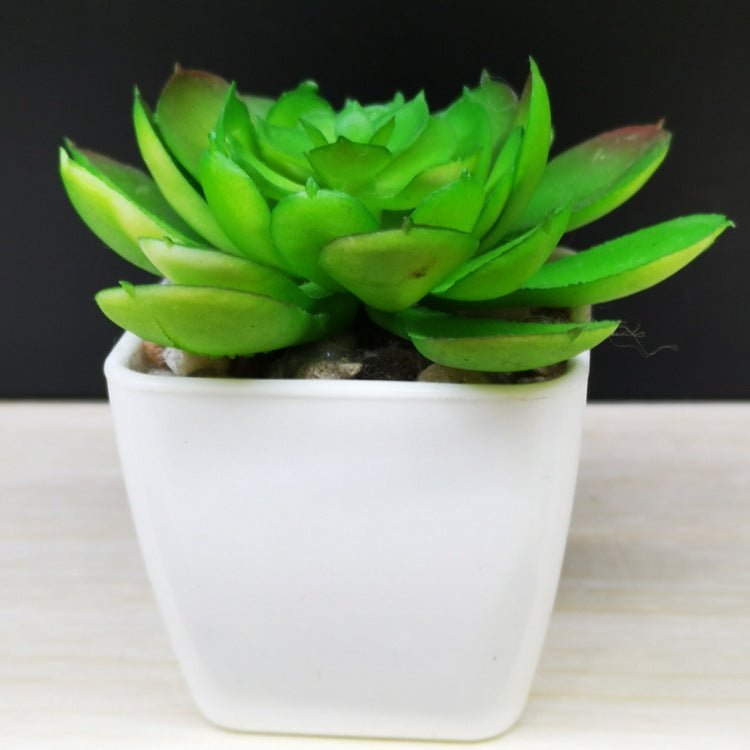 Artificial Mini Succulent Plant!