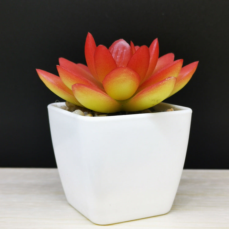 Artificial Mini Succulent Plant!