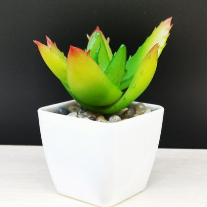 Artificial Mini Succulent Plant!