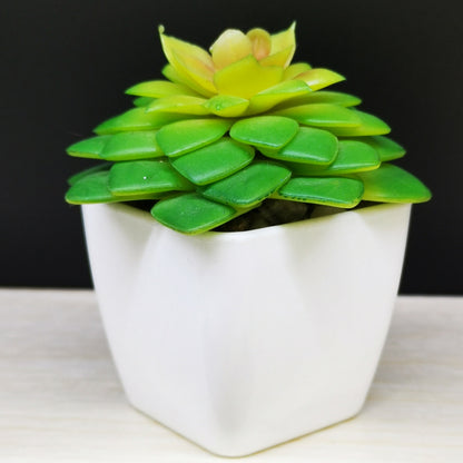 Artificial Mini Succulent Plant!