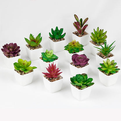 Artificial Mini Succulent Plant!