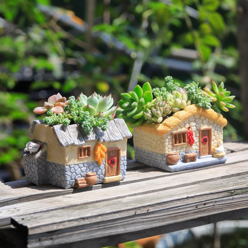 Mini House Succulent Flowerpot!