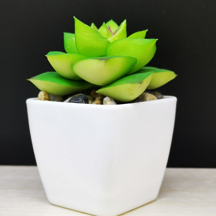 Artificial Mini Succulent Plant!