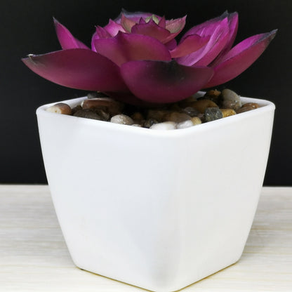 Artificial Mini Succulent Plant!