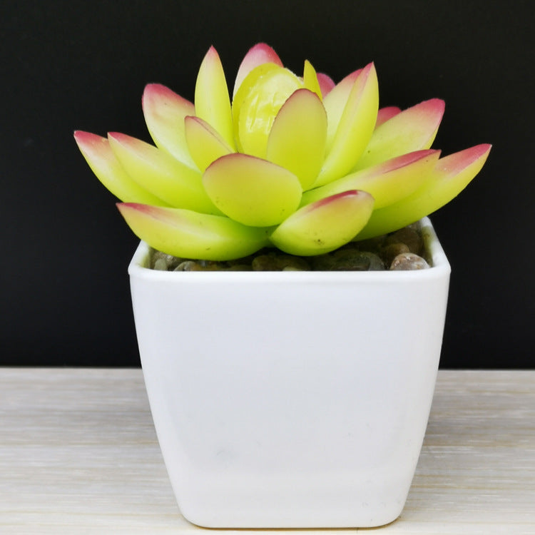 Artificial Mini Succulent Plant!