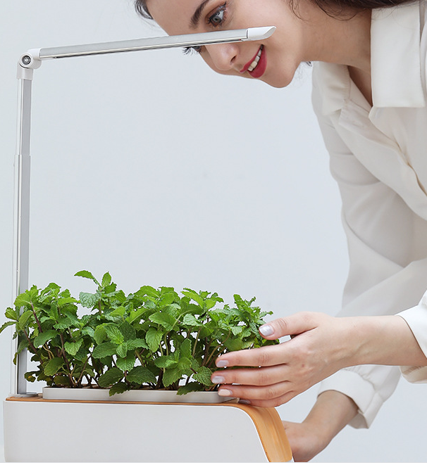 Hydroponic Container Flower Pot