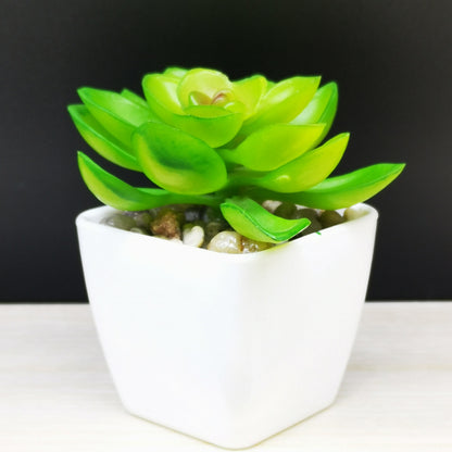 Artificial Mini Succulent Plant!