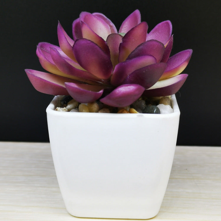 Artificial Mini Succulent Plant!