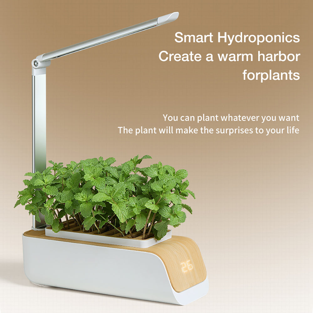 Hydroponic Container Flower Pot