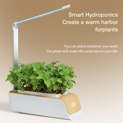 Hydroponic Container Flower Pot